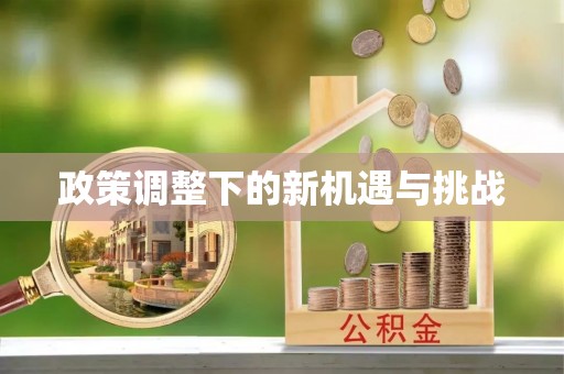 矿区政策调整下的新机遇与挑战