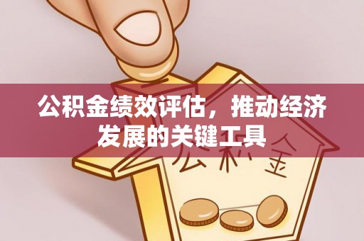 矿区公积金绩效评估，推动经济发展的关键工具