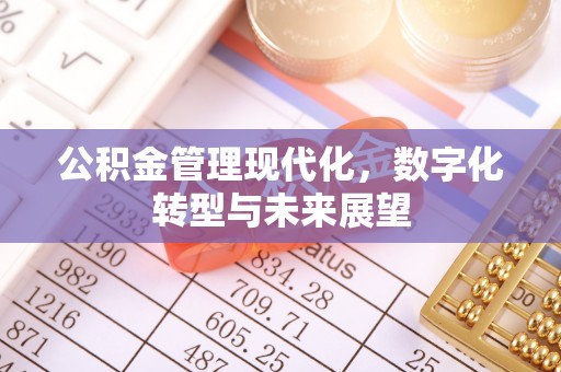 矿区公积金管理现代化，数字化转型与未来展望