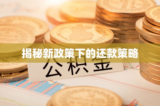 矿区揭秘新政策下的还款策略