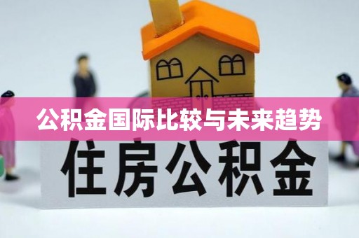 矿区公积金国际比较与未来趋势
