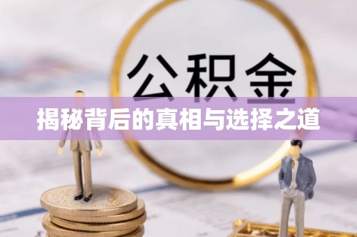 矿区揭秘背后的真相与选择之道