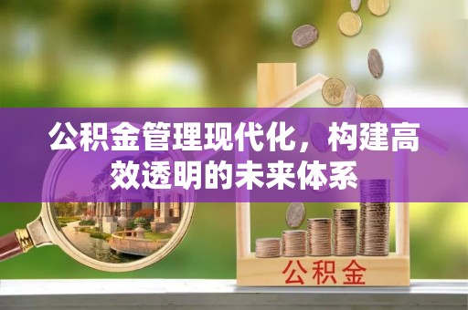矿区公积金管理现代化，构建高效透明的未来体系