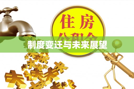 矿区制度变迁与未来展望