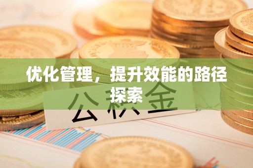 矿区优化管理，提升效能的路径探索