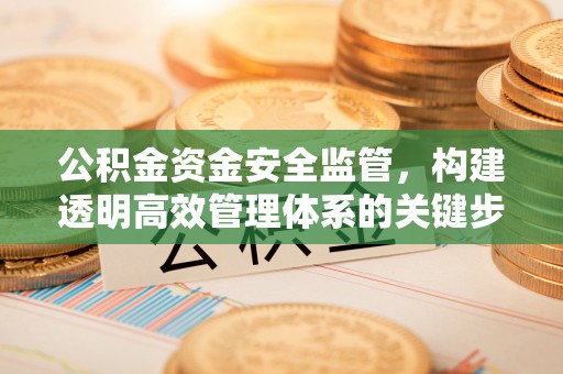 矿区公积金资金安全监管，构建透明高效管理体系的关键步骤