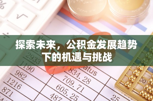 矿区探索未来，公积金发展趋势下的机遇与挑战