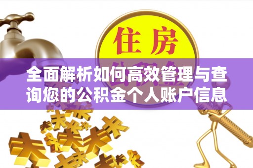 矿区全面解析如何高效管理与查询您的公积金个人账户信息