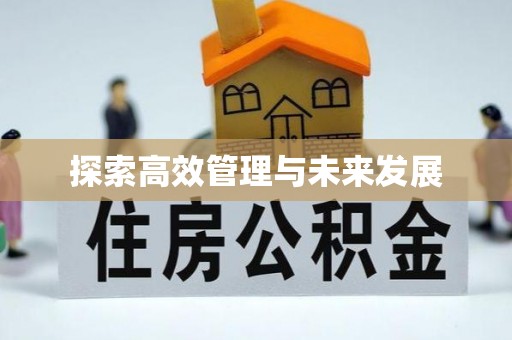 矿区探索高效管理与未来发展