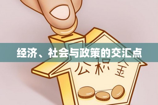 矿区经济、社会与政策的交汇点