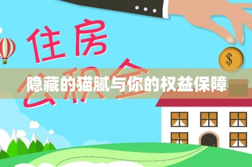 矿区隐藏的猫腻与你的权益保障