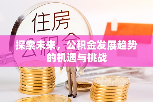 矿区探索未来，公积金发展趋势的机遇与挑战