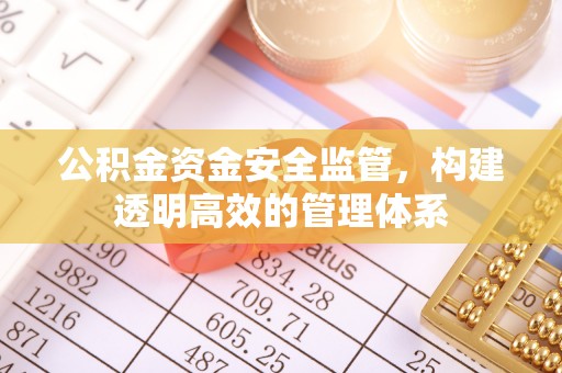矿区公积金资金安全监管，构建透明高效的管理体系