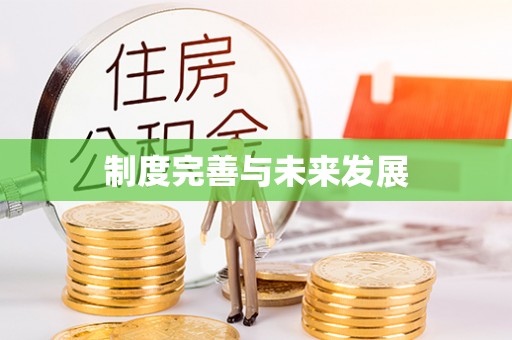 矿区制度完善与未来发展