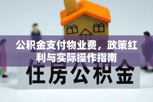 矿区公积金支付物业费，政策红利与实际操作指南