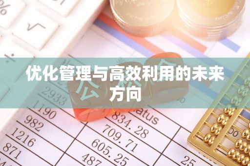 矿区优化管理与高效利用的未来方向