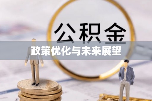 矿区政策优化与未来展望