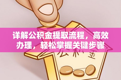 矿区详解公积金提取流程，高效办理，轻松掌握关键步骤