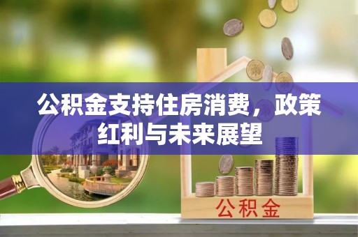 矿区公积金支持住房消费，政策红利与未来展望