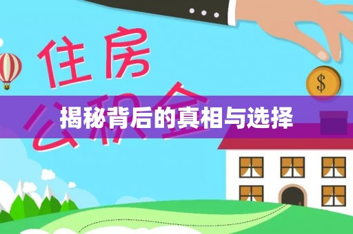 矿区揭秘背后的真相与选择
