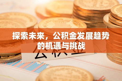 矿区探索未来，公积金发展趋势的机遇与挑战