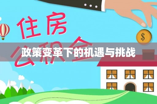 矿区政策变革下的机遇与挑战