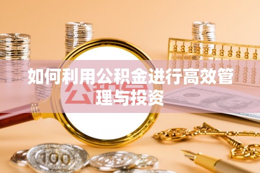 矿区如何利用公积金进行高效管理与投资
