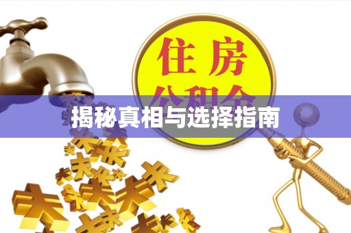 矿区揭秘真相与选择指南
