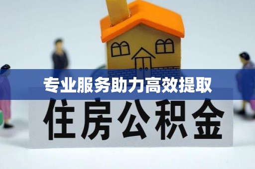 矿区专业服务助力高效提取