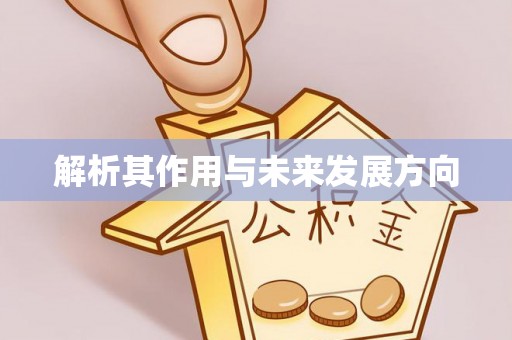 矿区解析其作用与未来发展方向