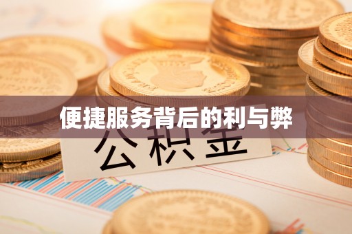 矿区便捷服务背后的利与弊
