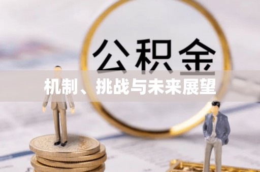 矿区机制、挑战与未来展望