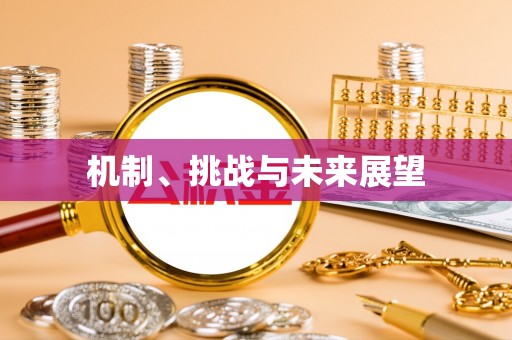 矿区机制、挑战与未来展望