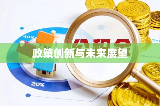 矿区政策创新与未来展望