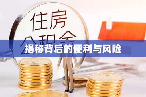 矿区揭秘背后的便利与风险