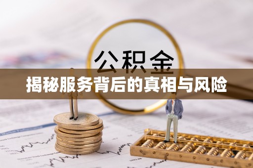 矿区揭秘服务背后的真相与风险