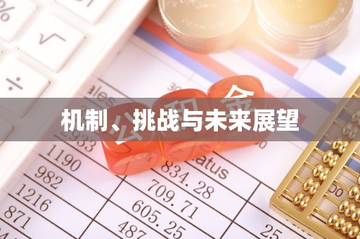 矿区机制、挑战与未来展望